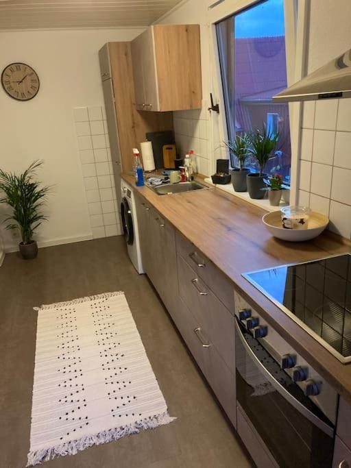 Behagliches Nurdachhaus Im Ferienhausgebiet Langelsheim Buitenkant foto