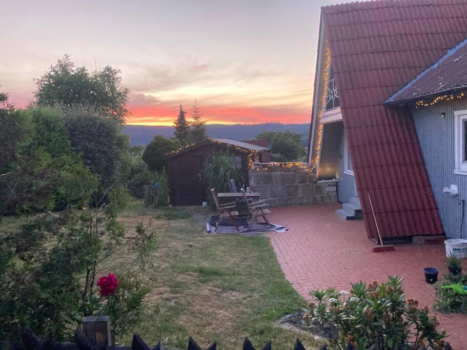 Behagliches Nurdachhaus Im Ferienhausgebiet Langelsheim Buitenkant foto
